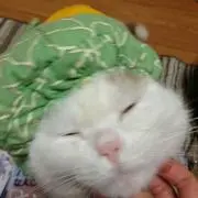 プロフ必読☆あぃるぅ