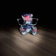 PpasshioＢの画像