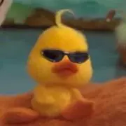たきゃの画像