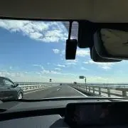 どんぐりの画像
