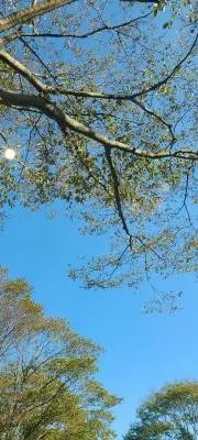 ♡の画像