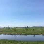 TM106016の画像