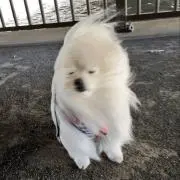 もるの画像