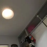 m.t