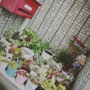 かわらそば