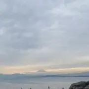 ゆの画像