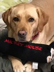 ミッキーさん