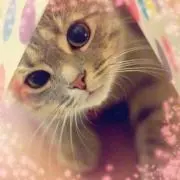 ゆん