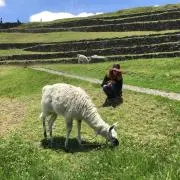 Nyaの画像