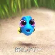 DoR