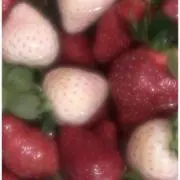 えんどう豆の画像