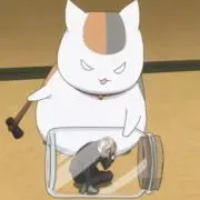ssdsllの画像