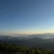 35の画像
