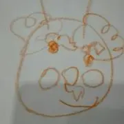 sawaboo