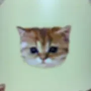 茶トラ＊プロフ必読