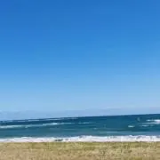 ふらわー