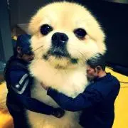 むぎちゃ