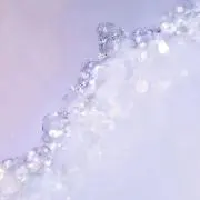 るるの画像