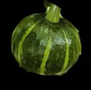 おがの画像