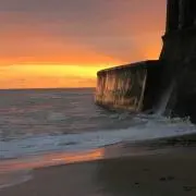 Miiiの画像
