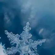 ytukiの画像