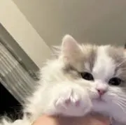 nuの画像