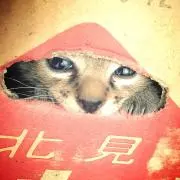 ナツキ
