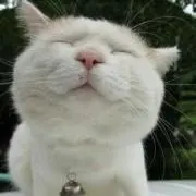みっち