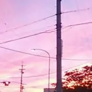 みい