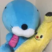 ミラクルの画像