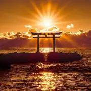 MSYの画像