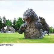 タカーヒの画像