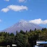 Msfjの画像