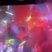 ryc☆断捨離中★の画像