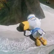 ちーの画像