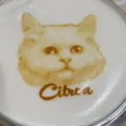 ゆりの画像