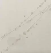 ゆうきの画像