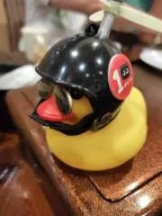 たまねぎの画像