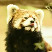 Keigoの画像