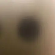ちるちら