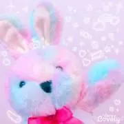 うさぎの画像