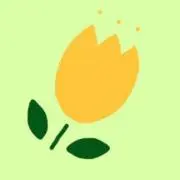 minami