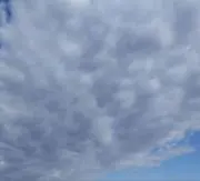 さぁち(基本土日祝発送お休み)の画像