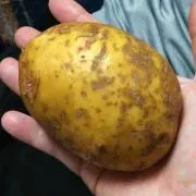 ともちん