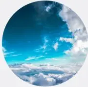 umeの画像