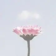 にこの画像