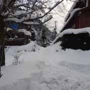 みー