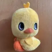 ろろの画像