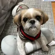 きゆひ
