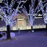かわの画像